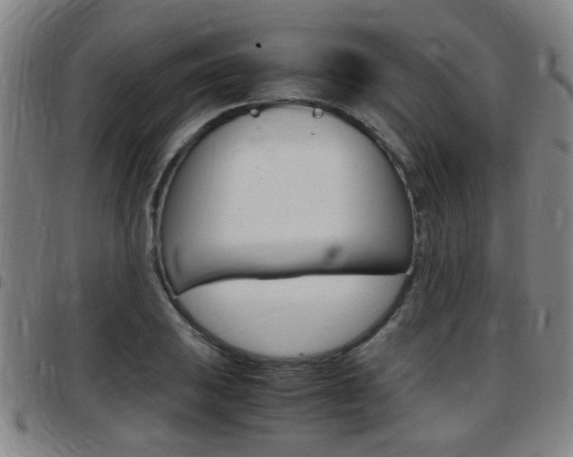 X0000097881031200803140937