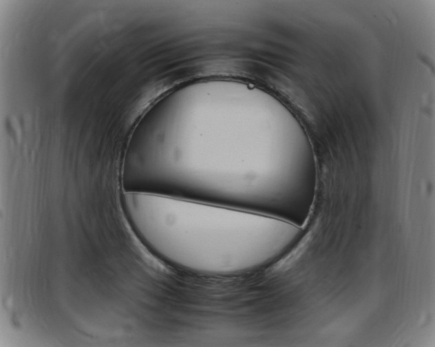 X0000097881033200803140937