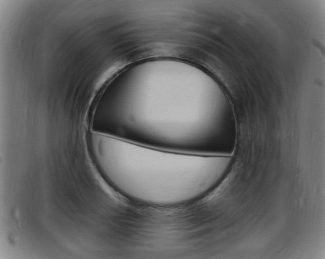 X0000097881034200803140937