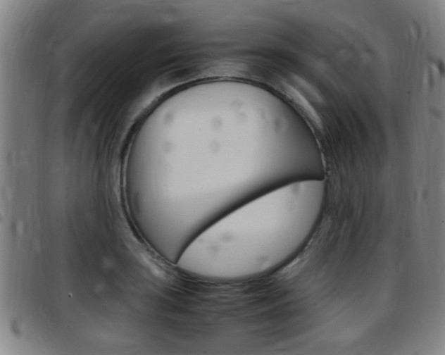 X0000097881035200803140937