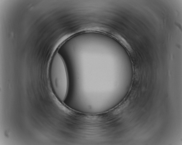 X0000097881036200803140937
