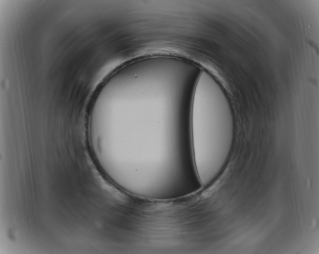 X0000097881038200803140937