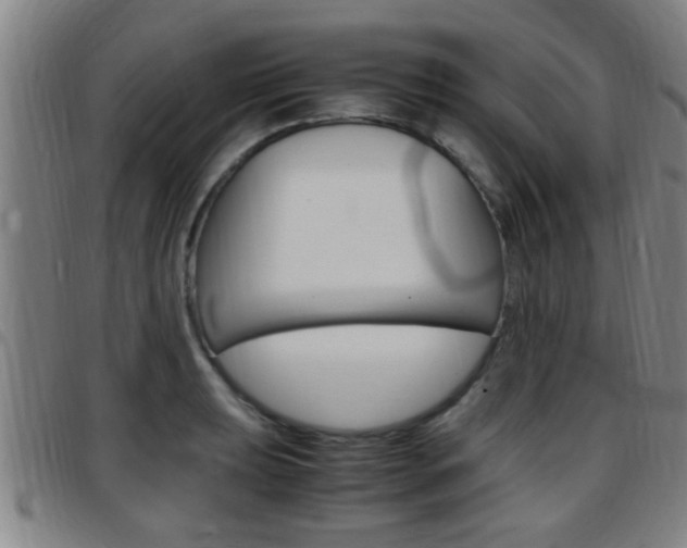 X0000097881039200803140937