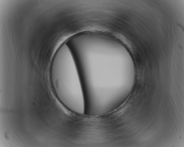 X0000097881040200803140937