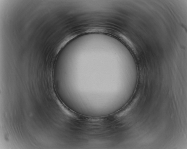 X0000097881041200803140938