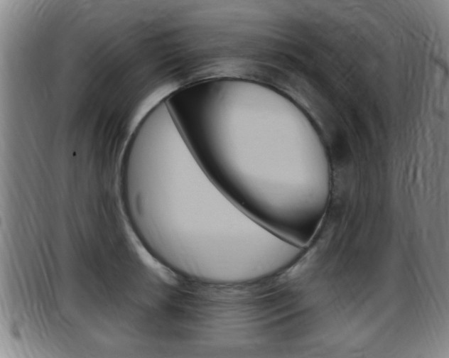 X0000097881042200803140938