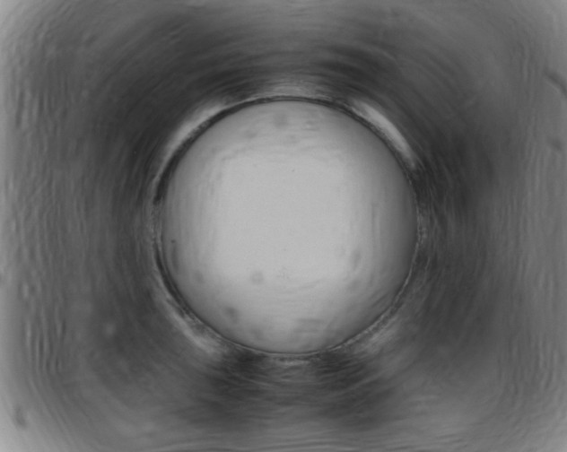 X0000097881043200803140938