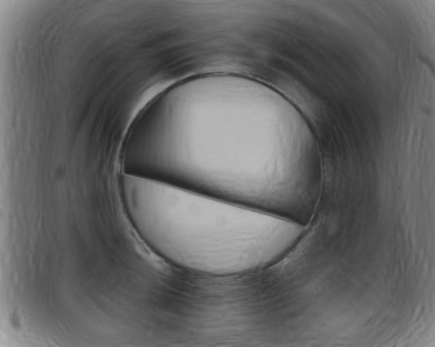 X0000097881044200803140938