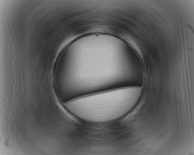 X0000097881045200803140938