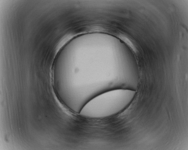 X0000097881047200803140938