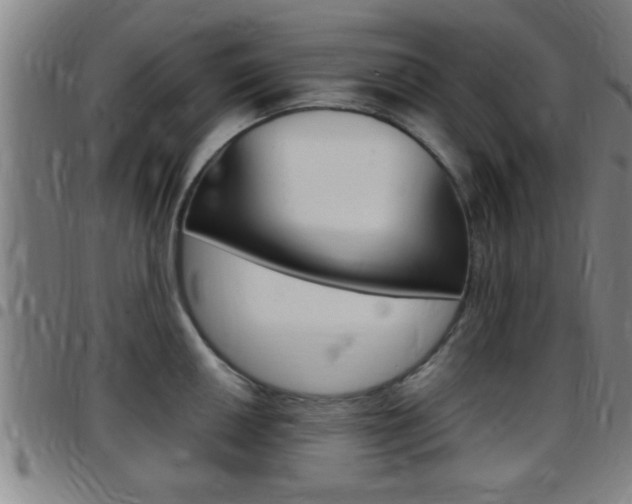 X0000097881050200803140938