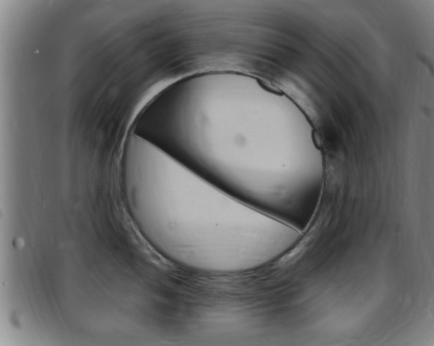 X0000097881052200803140938