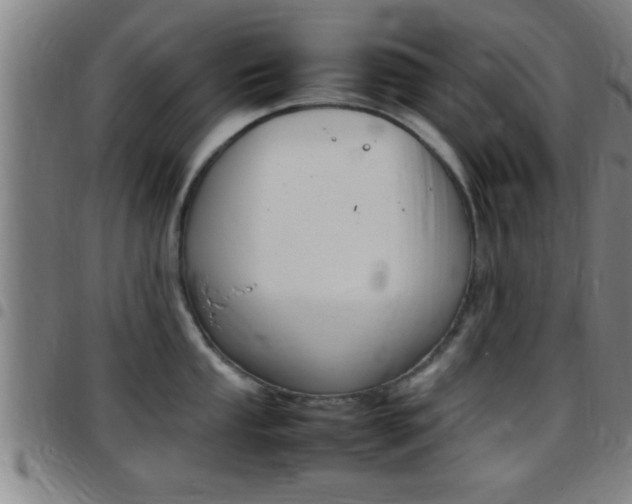 X0000097881053200803140938