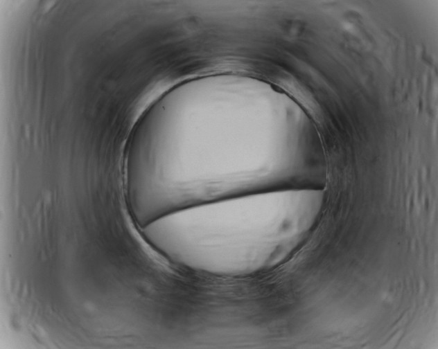 X0000097881055200803140938