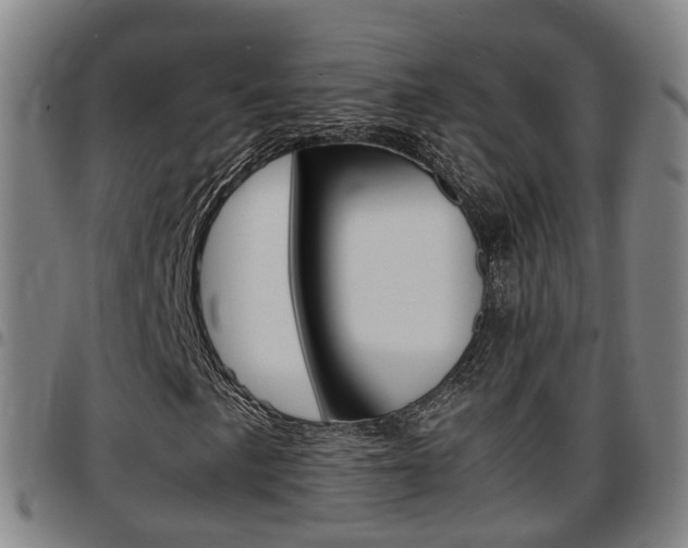 X0000097881057200803140937