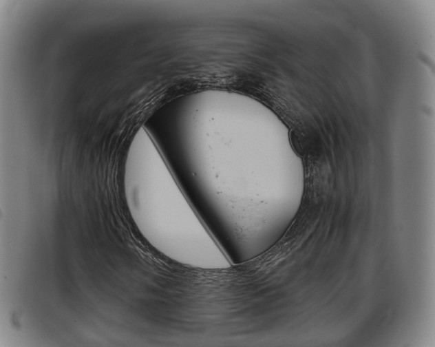 X0000097881058200803140937