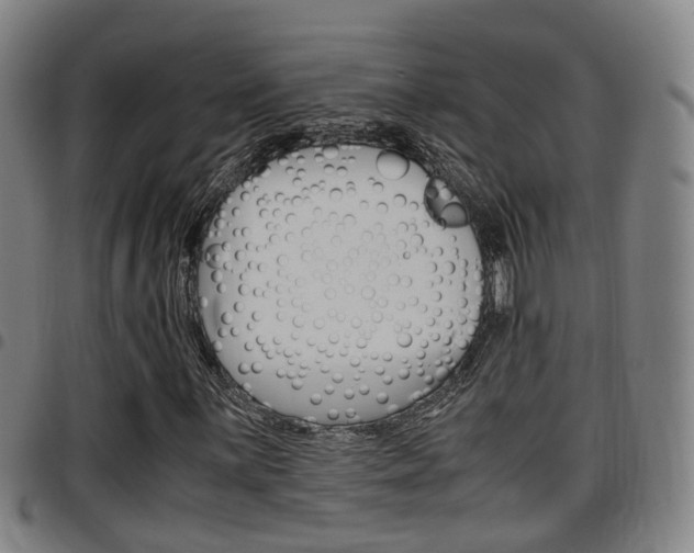 X0000097881059200803140937