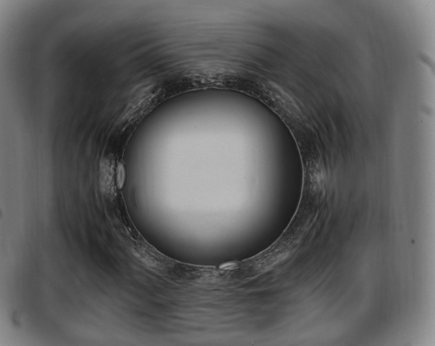 X0000097881060200803140937
