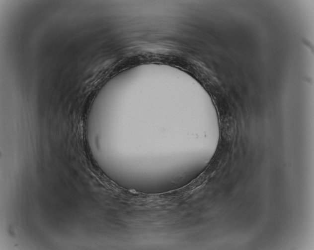 X0000097881061200803140937