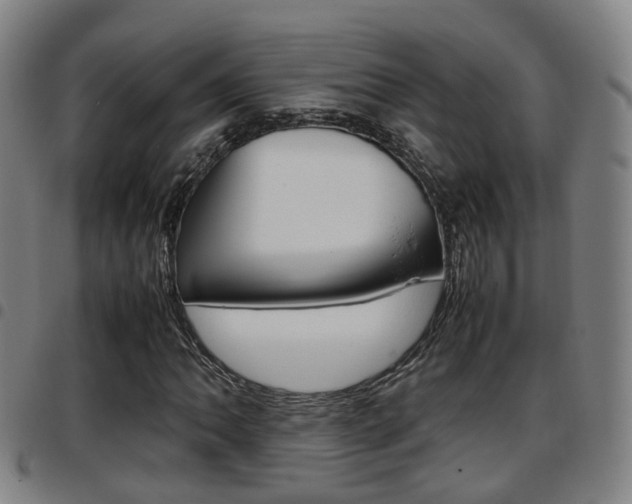 X0000097881062200803140937