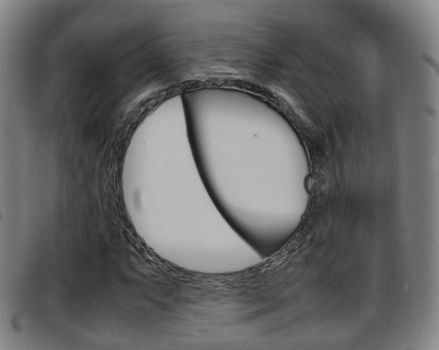 X0000097881063200803140937