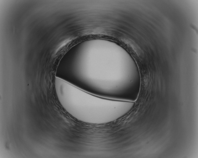 X0000097881064200803140937