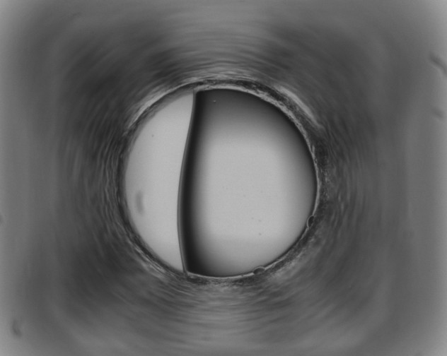 X0000097881065200803140937