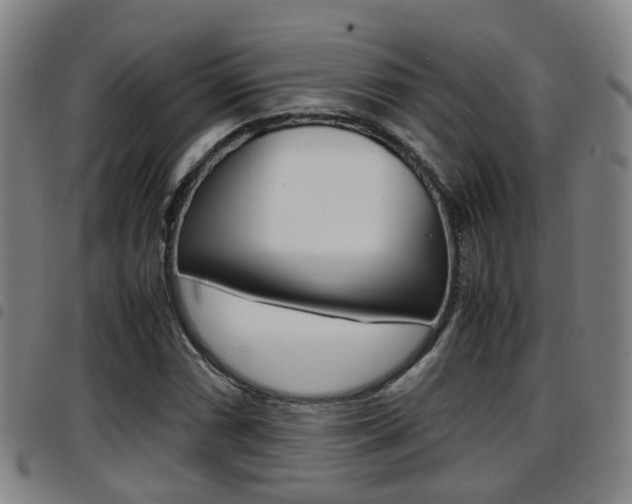 X0000097881066200803140937