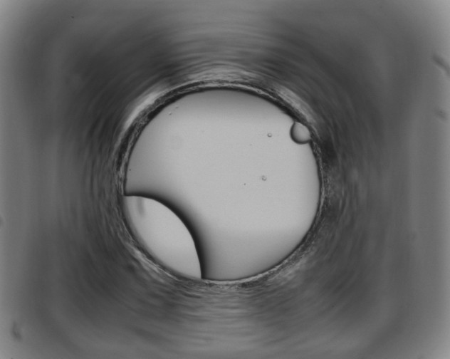 X0000097881067200803140937