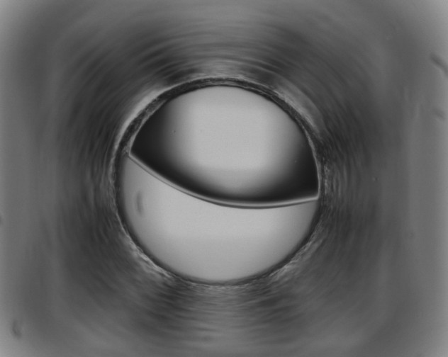 X0000097881068200803140937