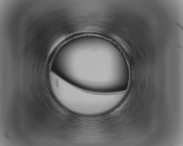 X0000097881069200803140937
