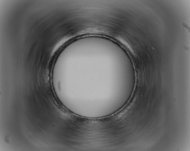 X0000097881070200803140937