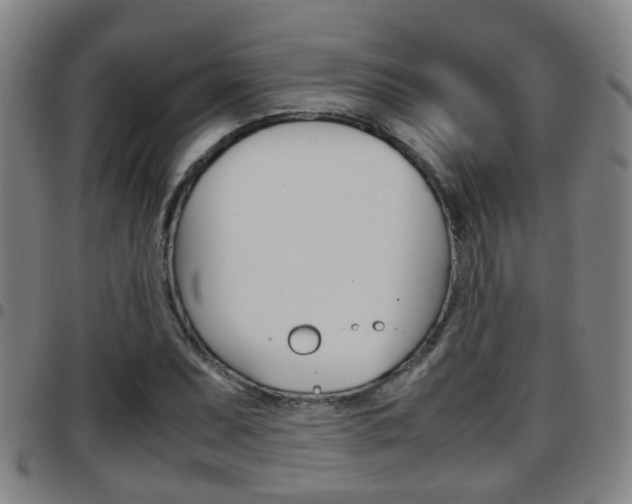 X0000097881071200803140937