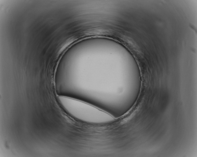 X0000097881073200803140937