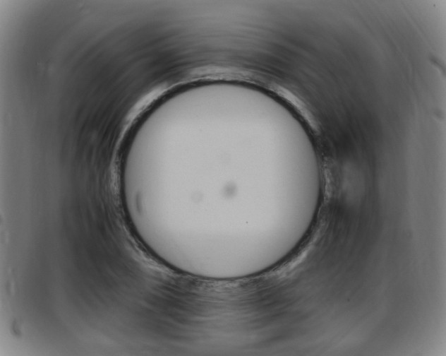 X0000097881074200803140937