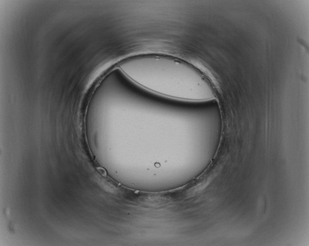 X0000097881077200803140937