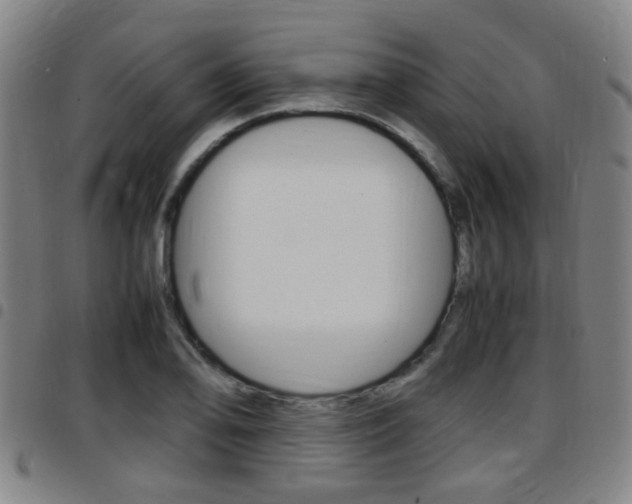 X0000097881078200803140937