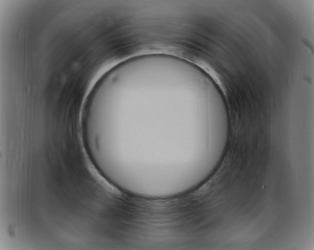 X0000097881080200803140937