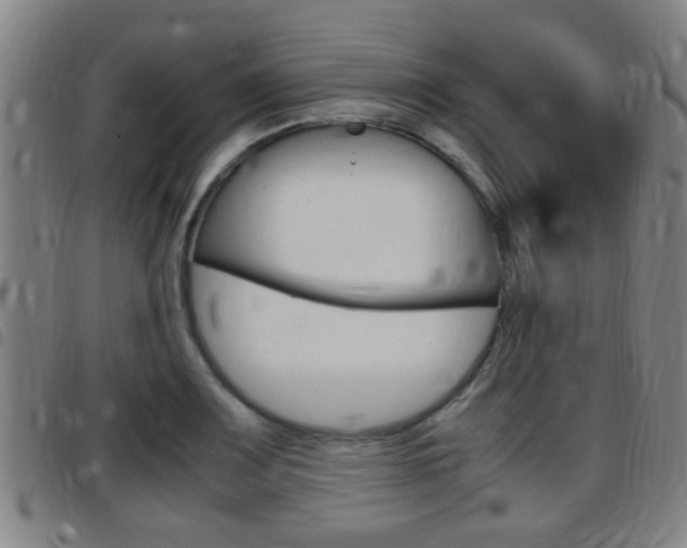 X0000097881083200803140937