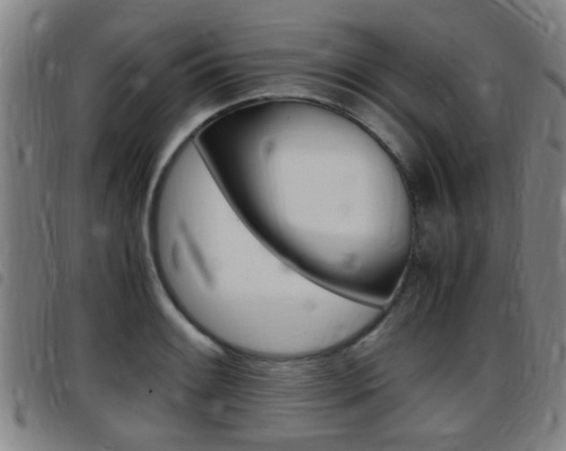 X0000097881084200803140937