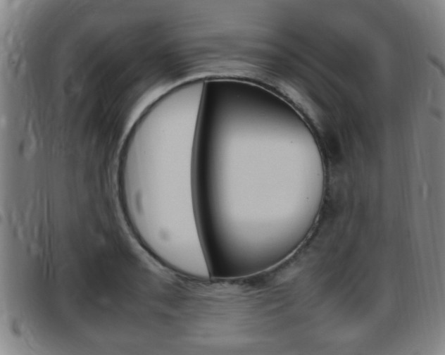 X0000097881085200803140937