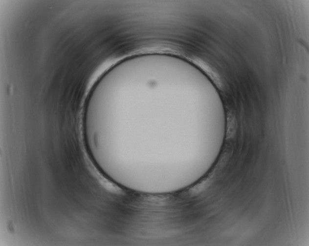X0000097881086200803140936