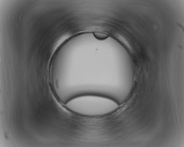 X0000097881087200803140936