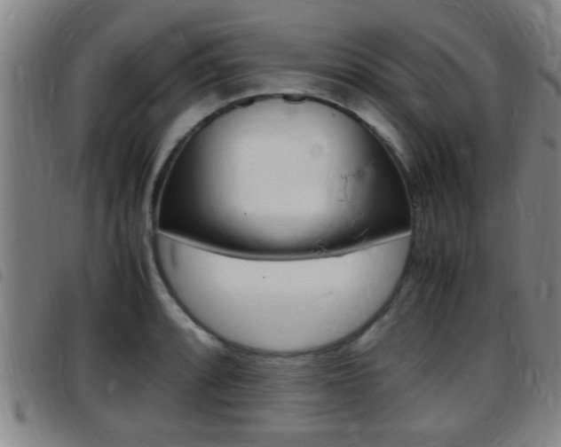 X0000097881088200803140936