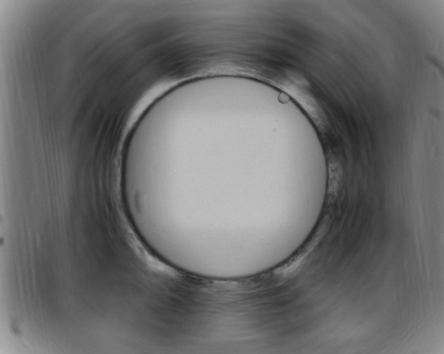 X0000097881094200803140936
