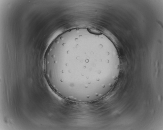 X0000097881095200803140936
