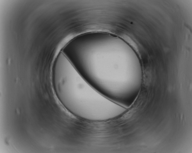 X0000097881096200803140936