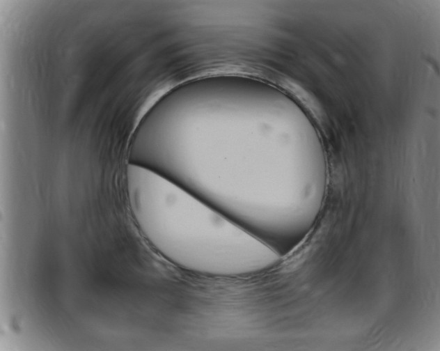 X0000097881097200803140936