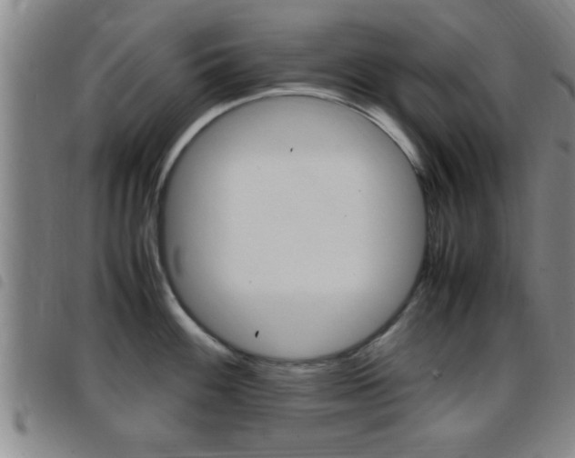 X0000097881100200803140936