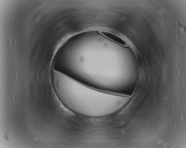 X0000097881102200803140936